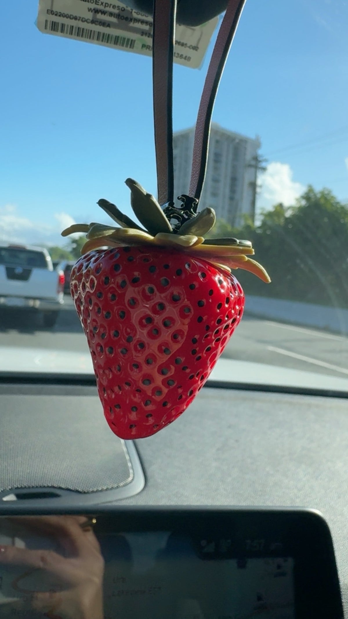Strawberry Bag Charm