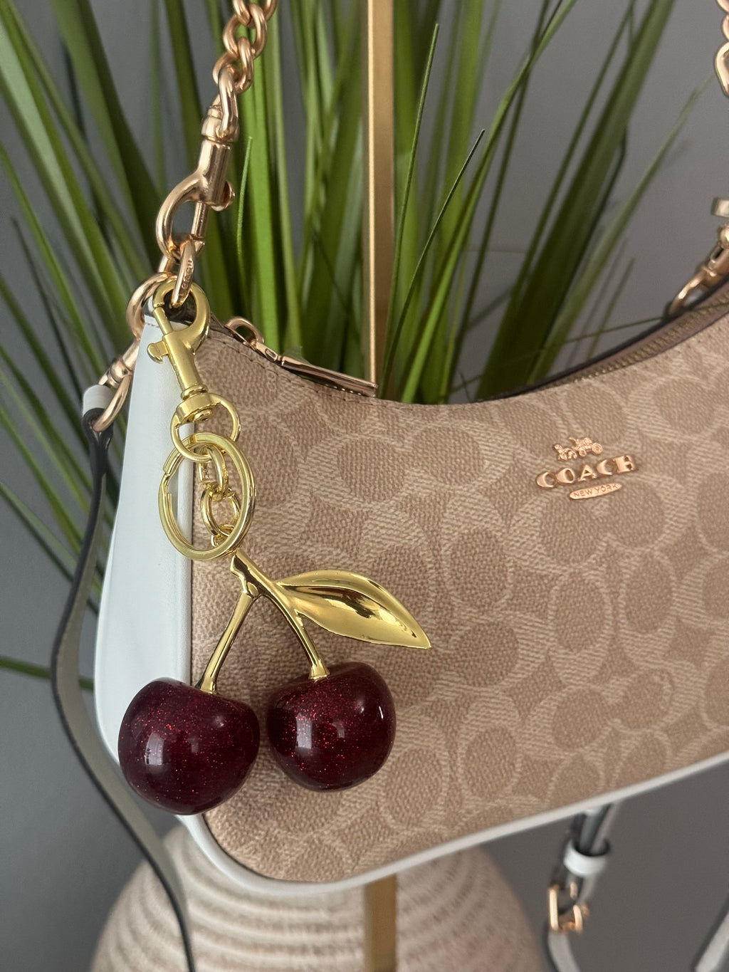 Coach Teri Shoulder Bag