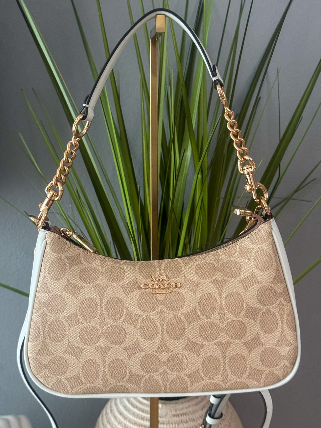 Coach Teri Shoulder Bag