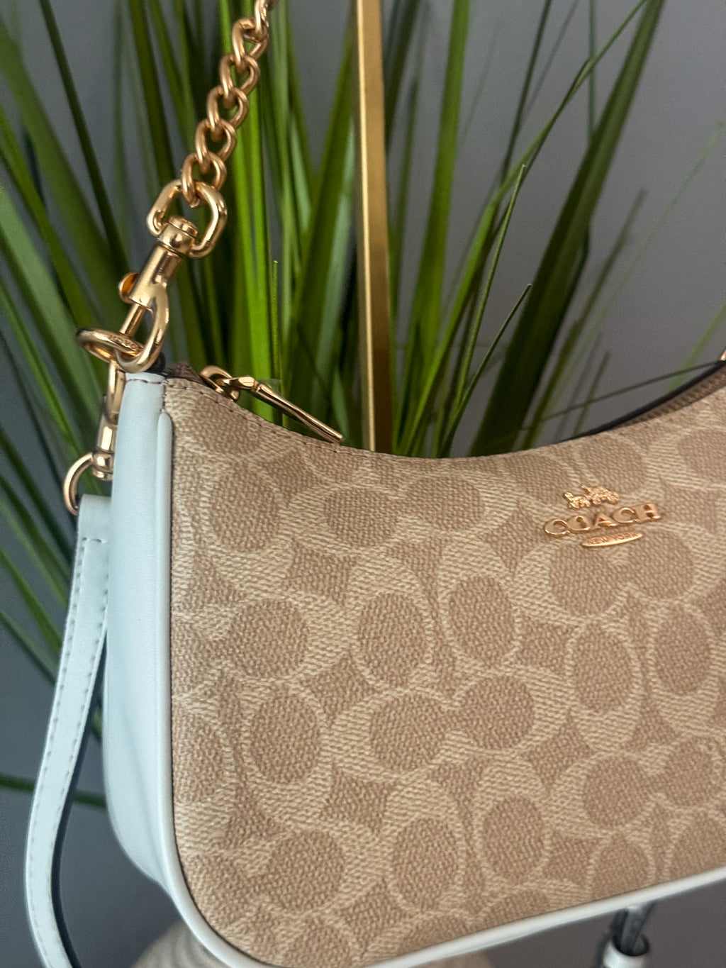 Coach Teri Shoulder Bag
