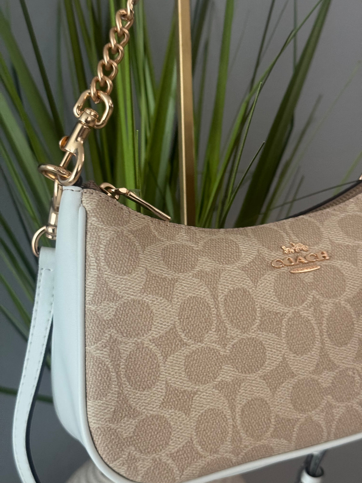 Coach Teri Shoulder Bag